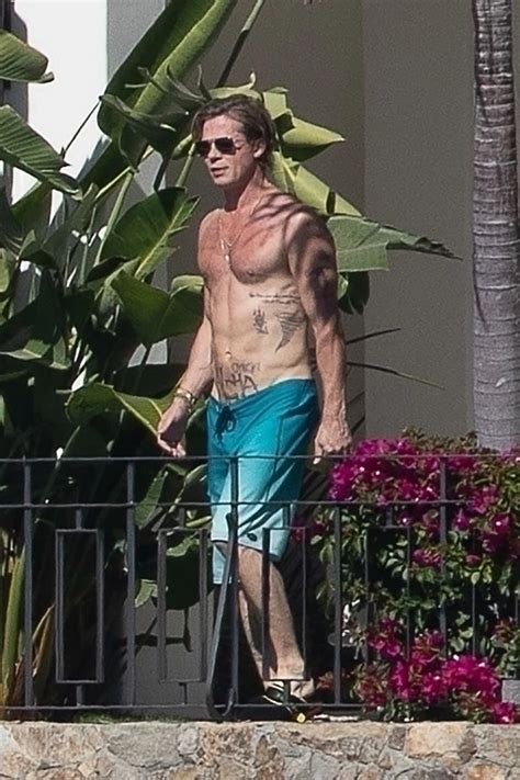 Shirtless Brad Pitt sunbathes with topless Ines de Ramon in。